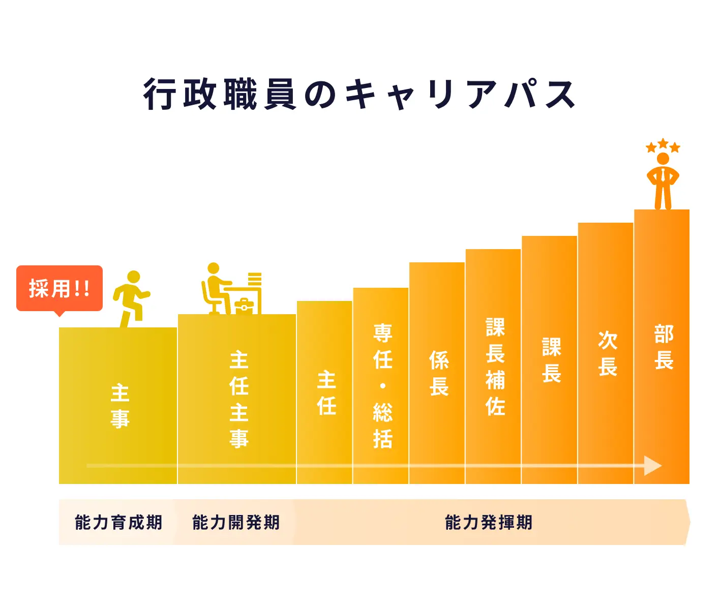 宇都宮市行政職員の時期ごとのキャリアパスが分かるグラフ図